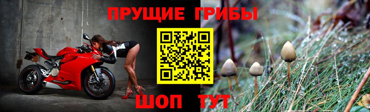 Псилоцибиновые грибы MAGIC MUSHROOMS Стрежевой